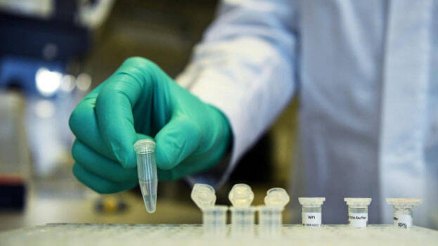 Pair of studies showed vaccine prevented coronavirus infection in monkeys; produced antibodies