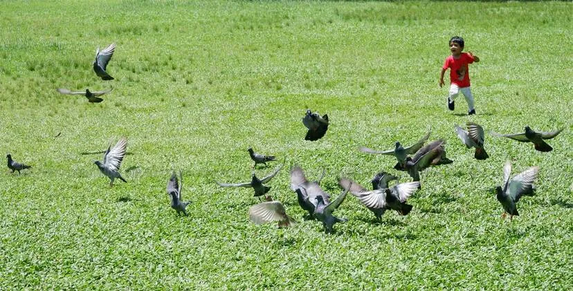 Kerala Kaumudi Photo Gallery