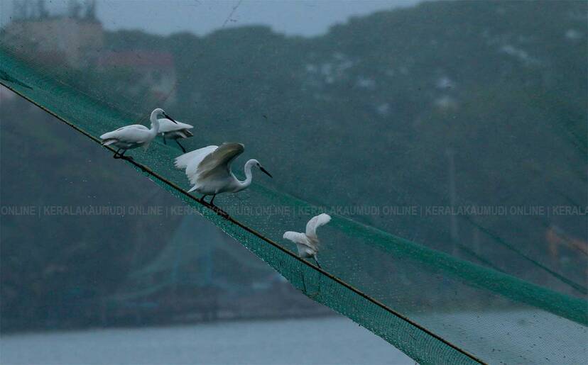 Kerala Kaumudi Photo Gallery