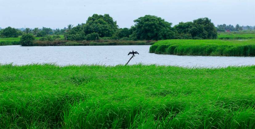 Kerala Kaumudi Photo Gallery