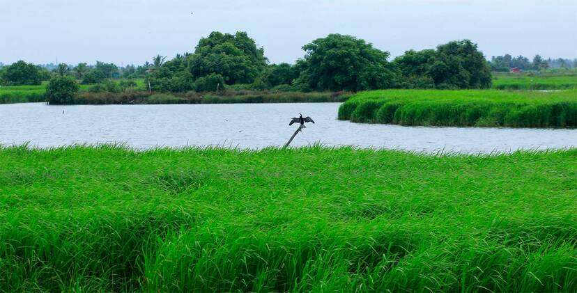 Kerala Kaumudi Photo Gallery