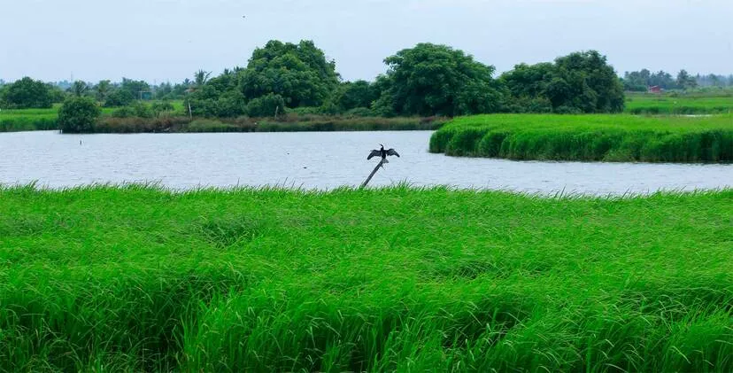 Kerala Kaumudi Photo Gallery