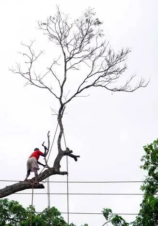 Kerala Kaumudi Photo Gallery