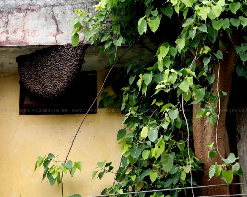 Kerala Kaumudi Photo Gallery