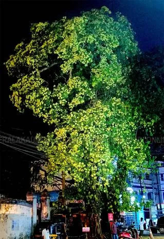 Kerala Kaumudi Photo Gallery