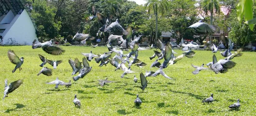 Kerala Kaumudi Photo Gallery