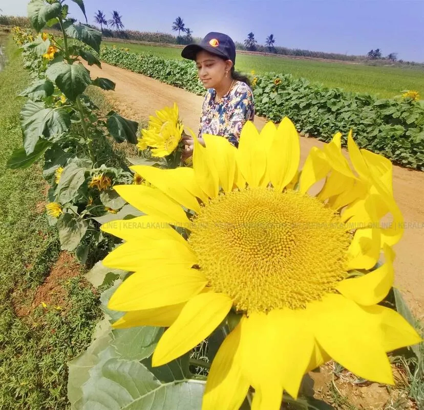 Kerala Kaumudi Photo Gallery