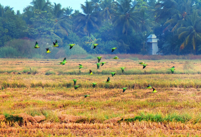 Kerala Kaumudi Photo Gallery