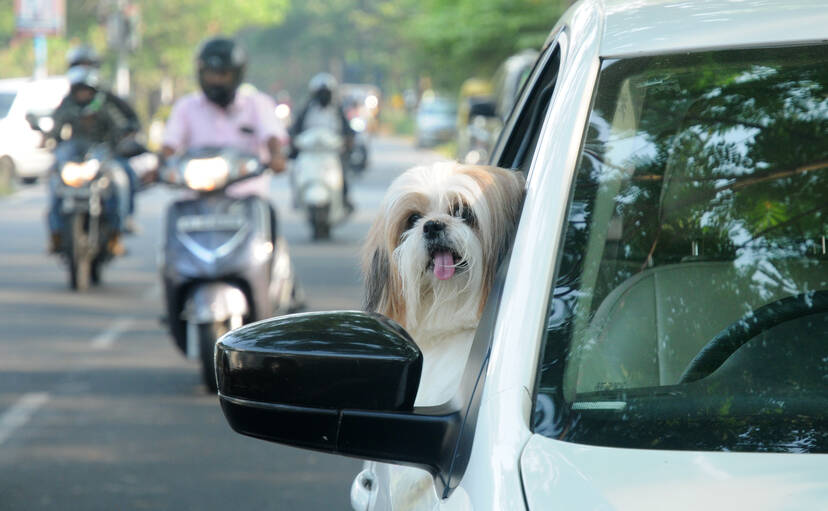 Kerala Kaumudi Photo Gallery