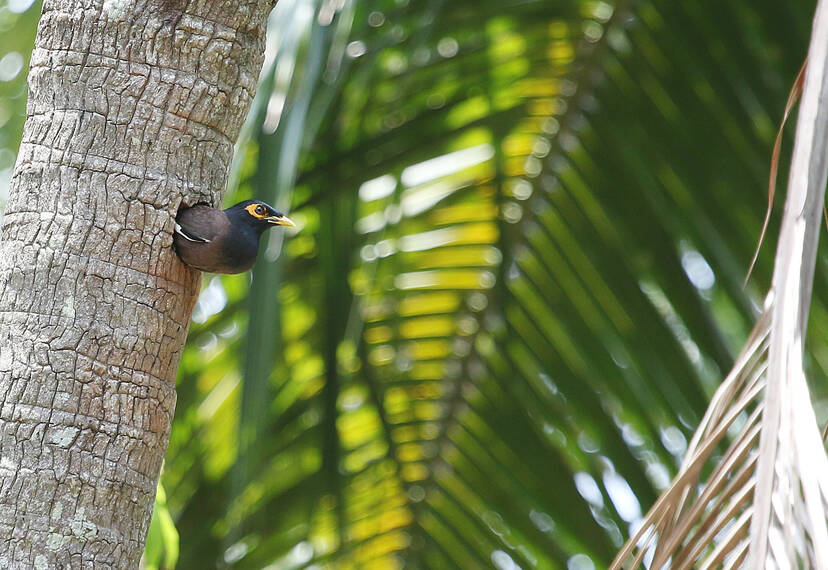 Kerala Kaumudi Photo Gallery