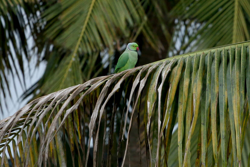 Kerala Kaumudi Photo Gallery