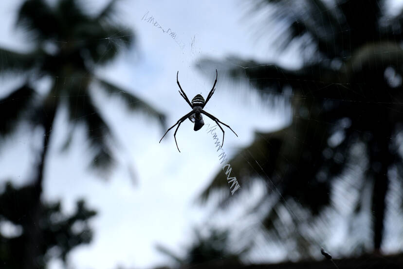Kerala Kaumudi Photo Gallery