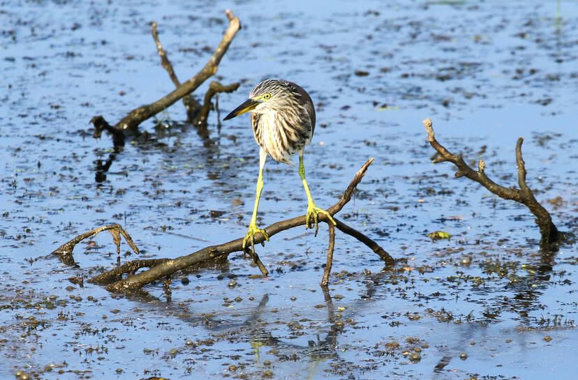 Kerala Kaumudi Photo Gallery