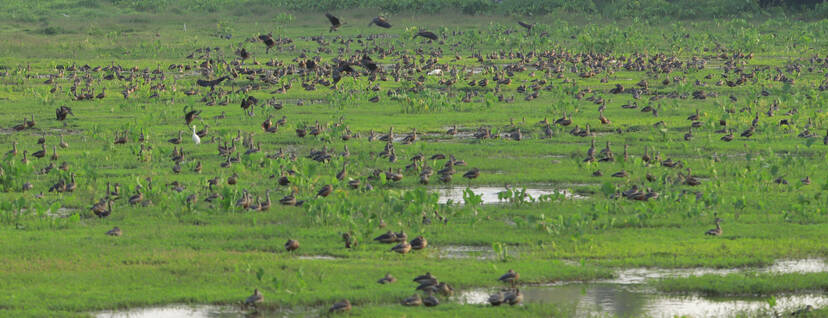 Kerala Kaumudi Photo Gallery