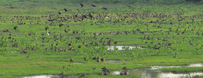 Kerala Kaumudi Photo Gallery