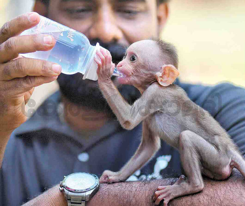 Kerala Kaumudi Photo Gallery