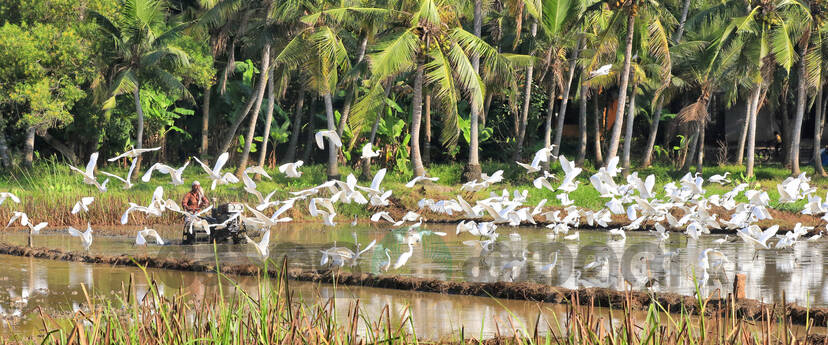 Kerala Kaumudi Photo Gallery