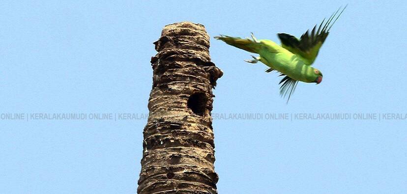 Kerala Kaumudi Photo Gallery