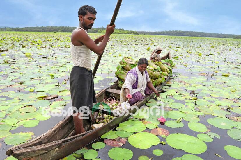 Kerala Kaumudi Photo Gallery
