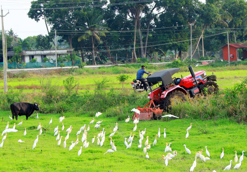 Kerala Kaumudi Photo Gallery