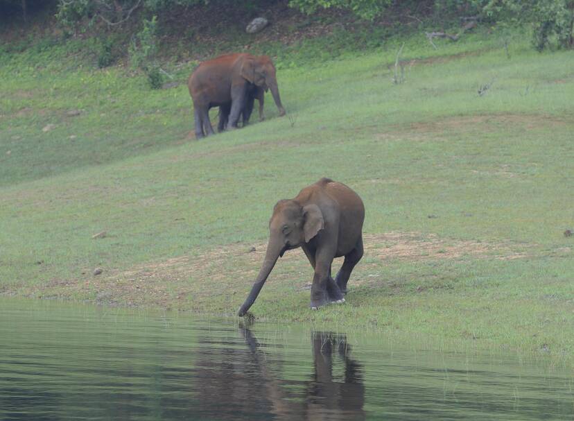 Kerala Kaumudi Photo Gallery