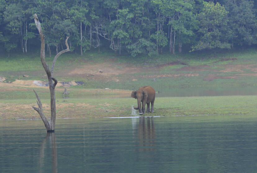 Kerala Kaumudi Photo Gallery