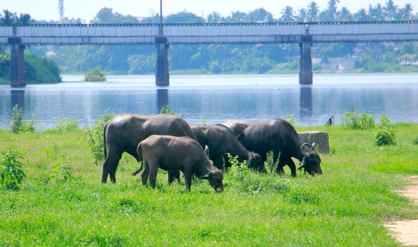 Kerala Kaumudi Photo Gallery