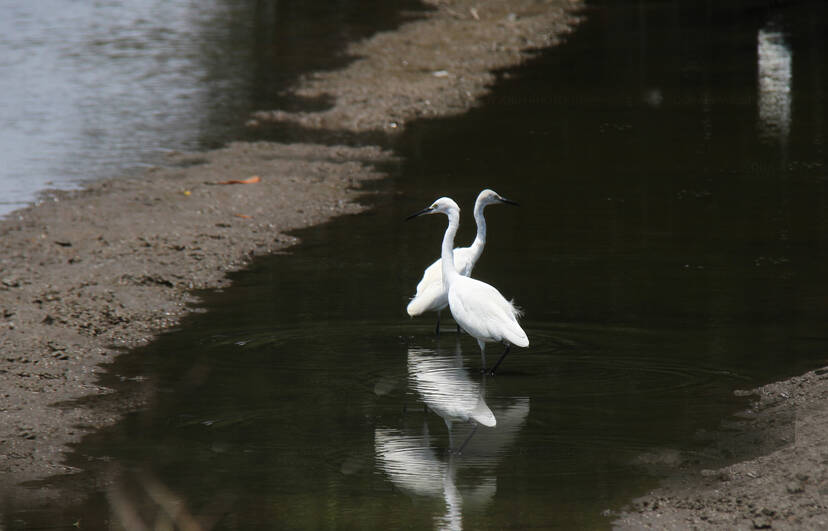 Kerala Kaumudi Photo Gallery