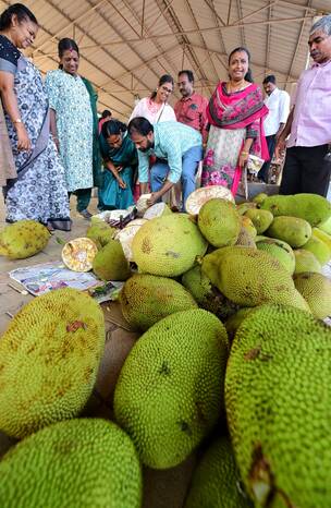 Kerala Kaumudi Photo Gallery