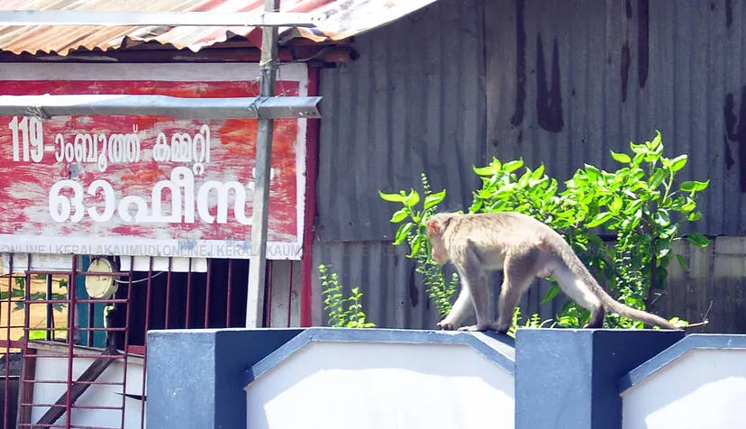 Kerala Kaumudi Photo Gallery