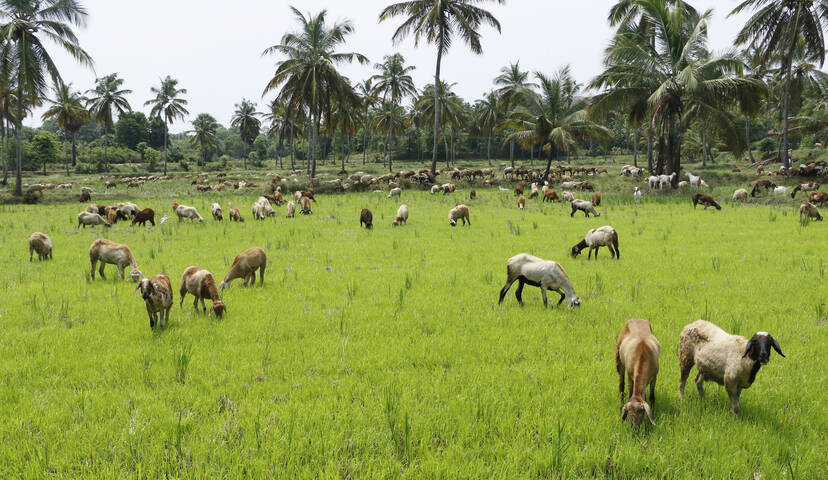Kerala Kaumudi Photo Gallery