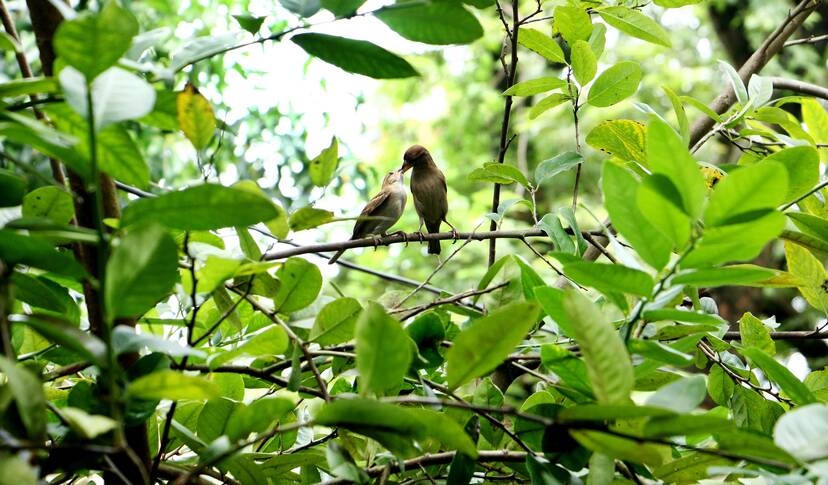 Kerala Kaumudi Photo Gallery