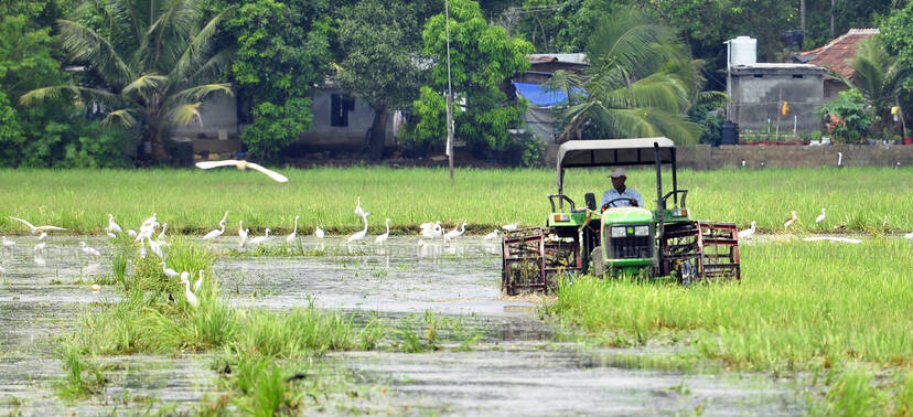 Kerala Kaumudi Photo Gallery
