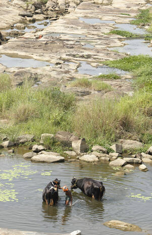 Kerala Kaumudi Photo Gallery