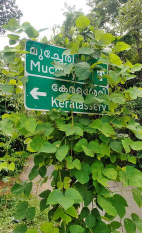 Kerala Kaumudi Photo Gallery