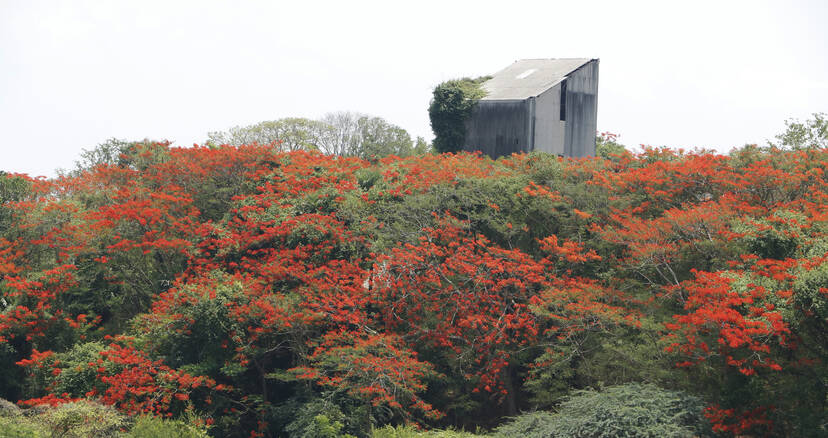 Kerala Kaumudi Photo Gallery