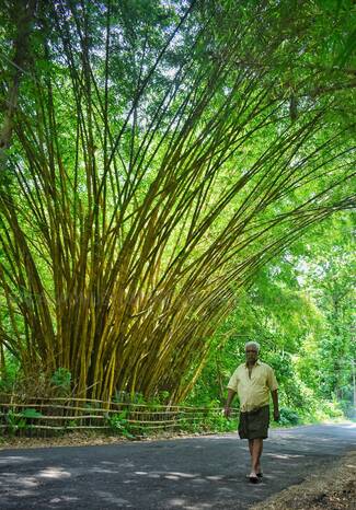 Kerala Kaumudi Photo Gallery