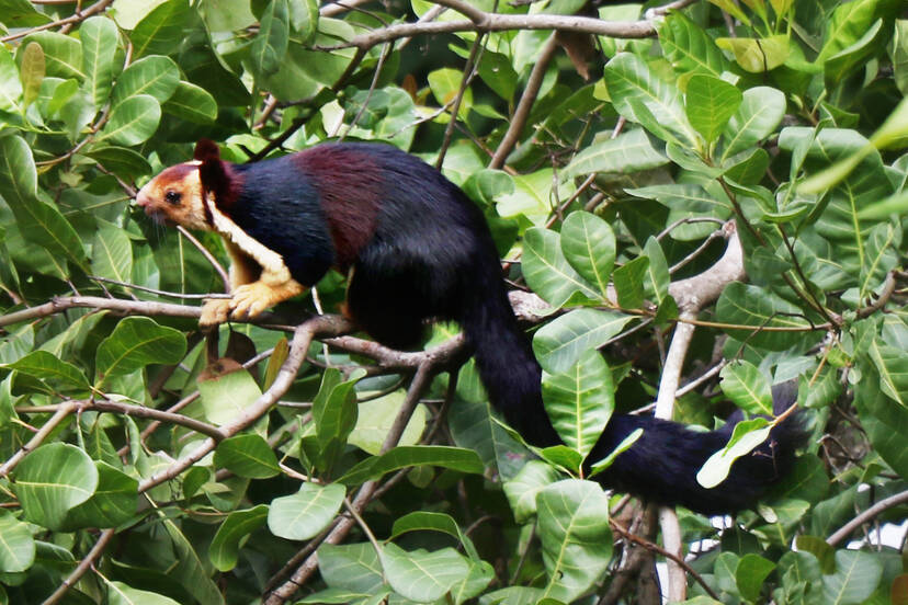 Kerala Kaumudi Photo Gallery