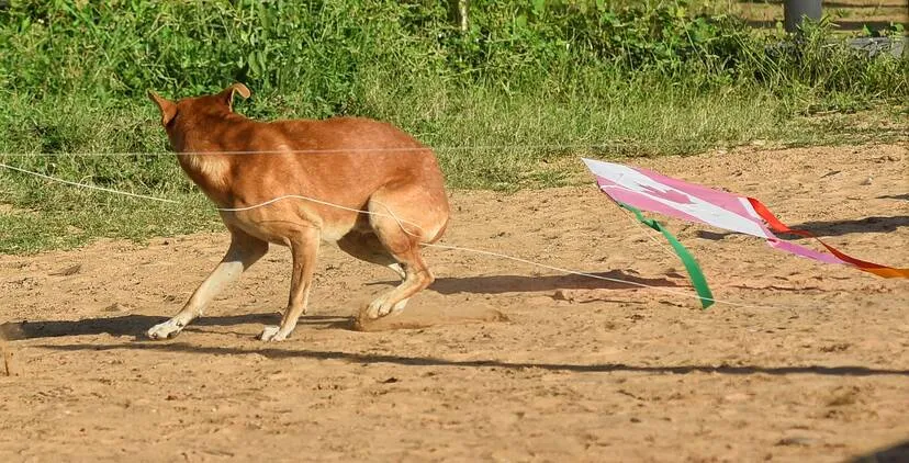 Kerala Kaumudi Photo Gallery