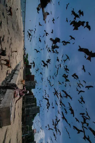 Kerala Kaumudi Photo Gallery