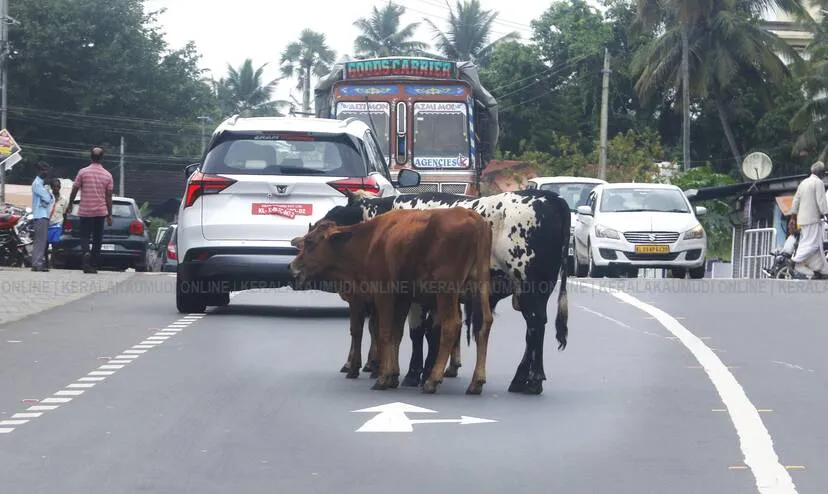 Kerala Kaumudi Photo Gallery