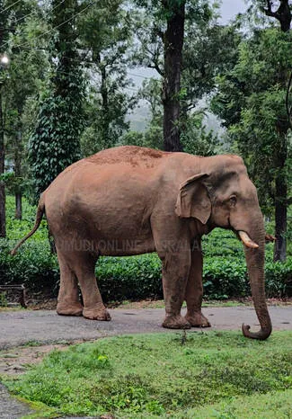 Kerala Kaumudi Photo Gallery