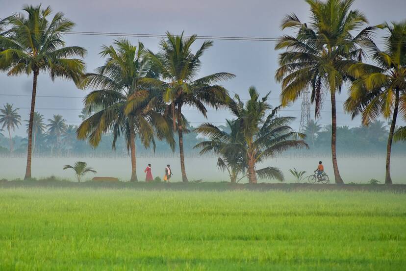 Kerala Kaumudi Photo Gallery