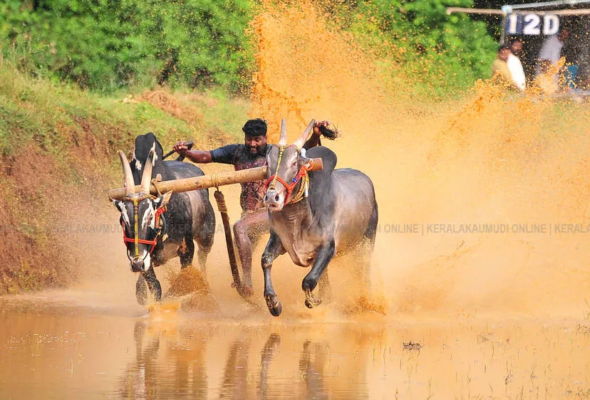 Kerala Kaumudi Photo Gallery