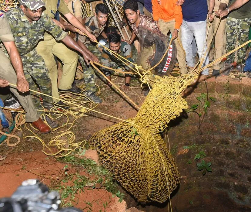 Kerala Kaumudi Photo Gallery