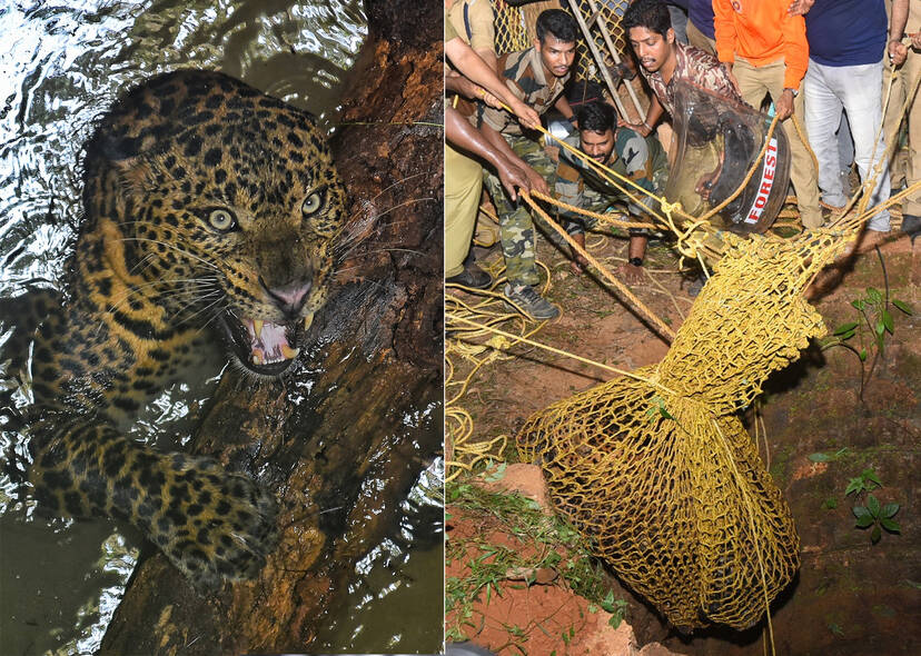 Kerala Kaumudi Photo Gallery