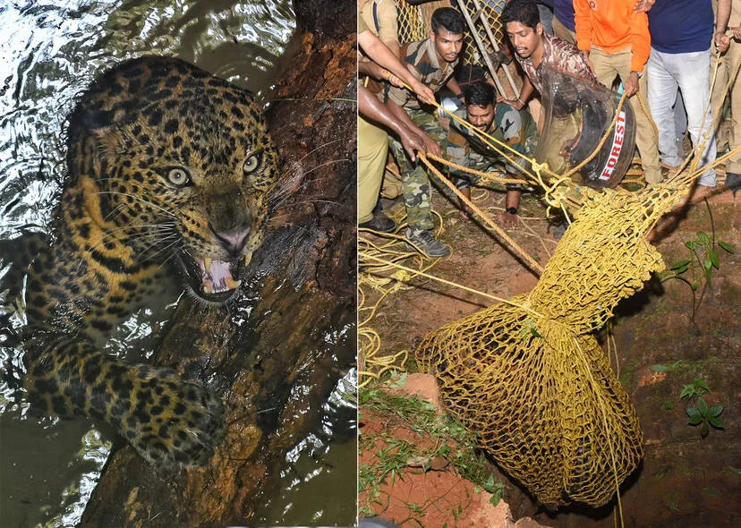 Kerala Kaumudi Photo Gallery