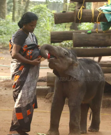 Kerala Kaumudi Photo Gallery