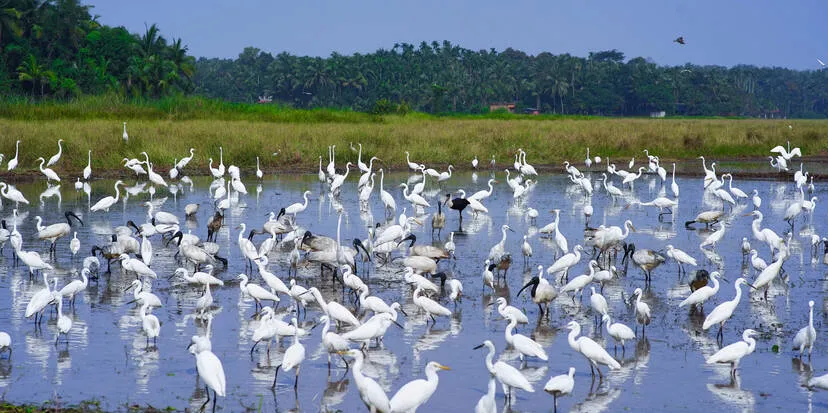Kerala Kaumudi Photo Gallery