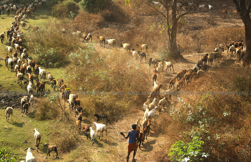 Kerala Kaumudi Photo Gallery
